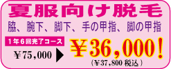 Eс@Ly[P